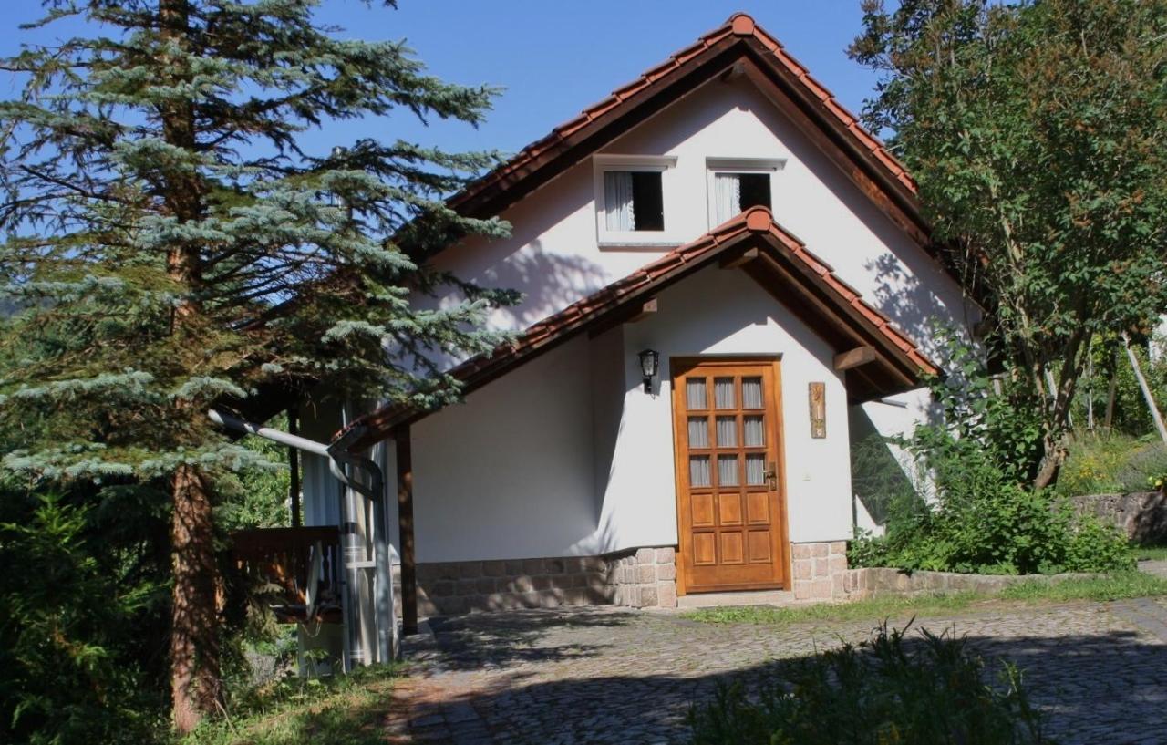 Ferienhaus "Am Schleifenbach" Saalfeld Saale Extérieur photo